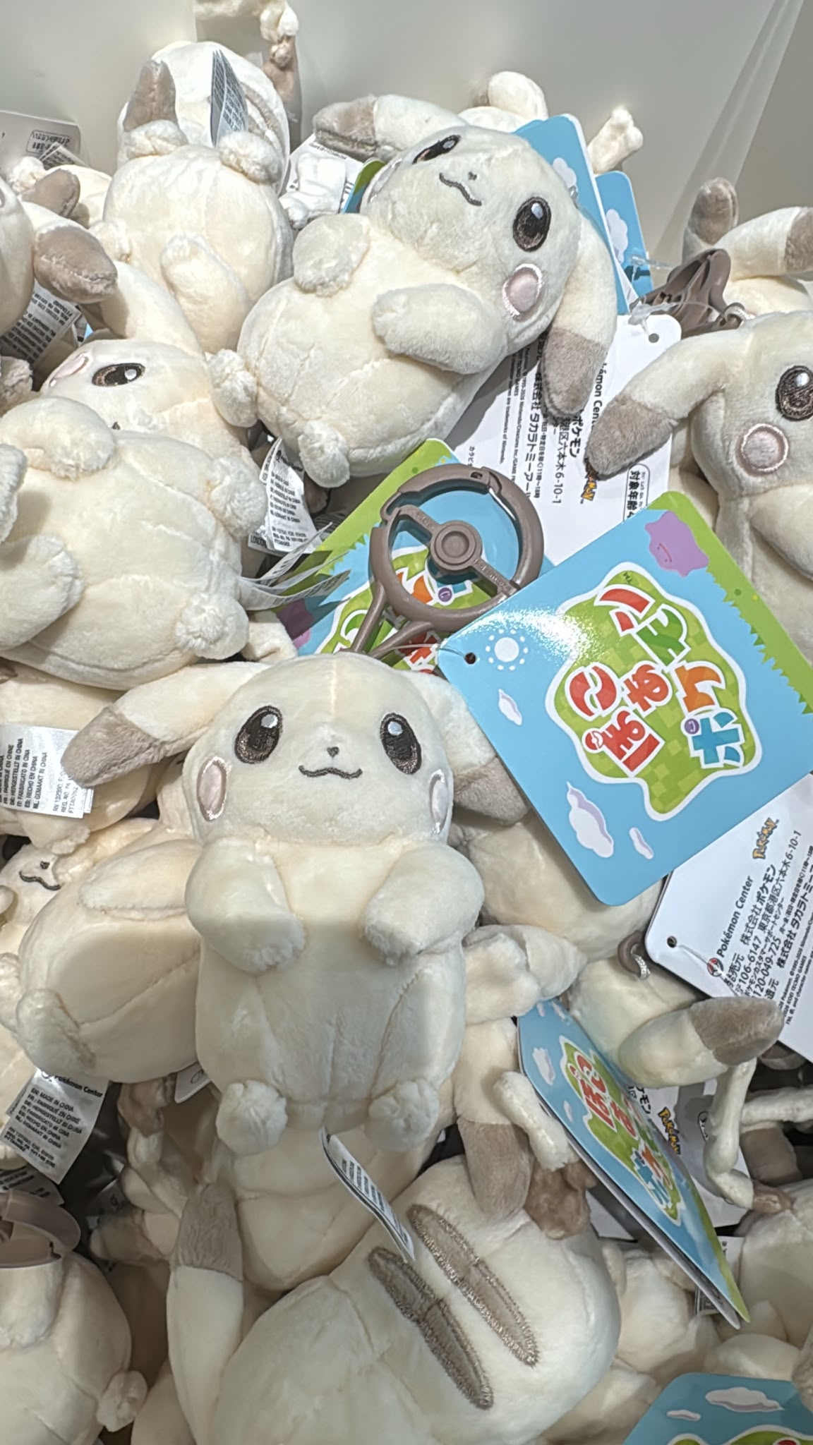 Pokemon Center 淺比卡超公仔掛飾