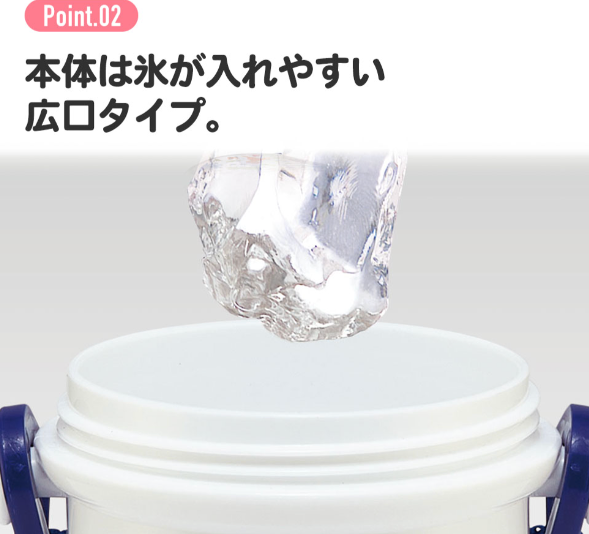 Skater Chiikawa 480mL 抗菌直飲式水樽/水壺連背帶