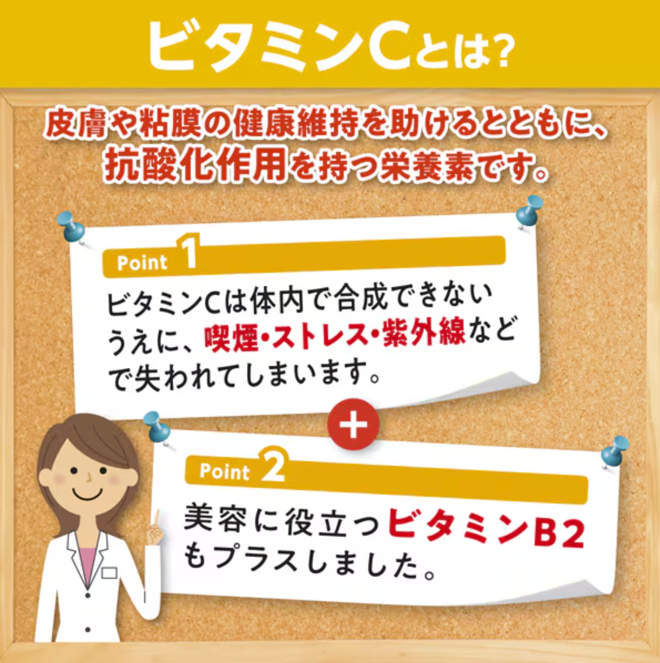 DHC 高濃度維他命C 60日分