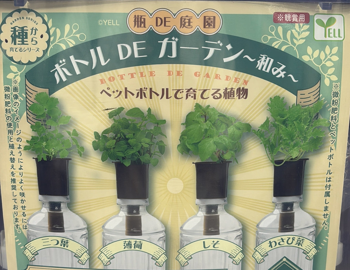 瓶中花園種植物扭蛋
