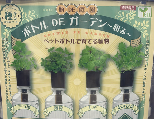 瓶中花園種植物扭蛋