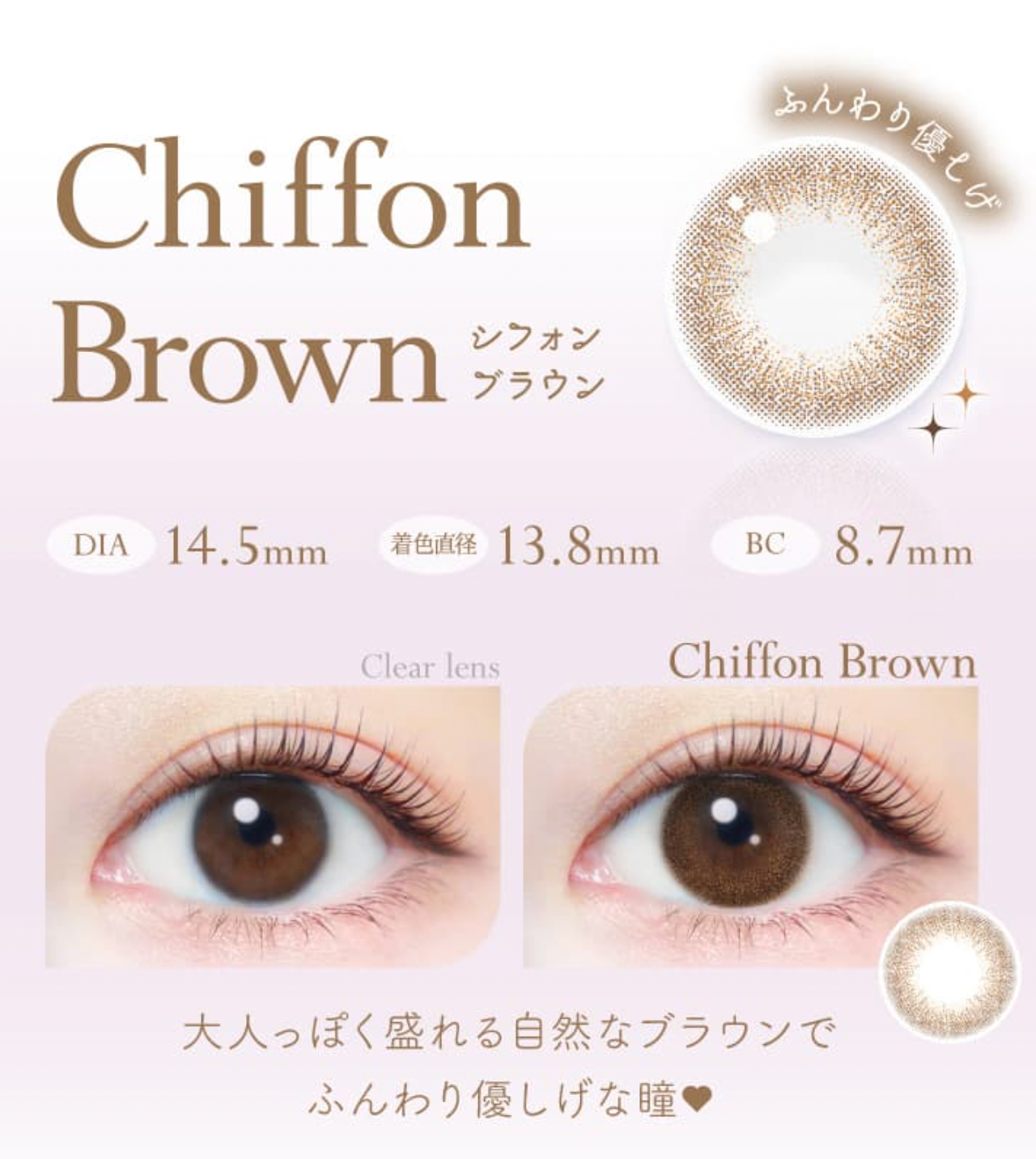 Ever Color 1-Day Natural Moist Label UV 日用即棄有色隱形眼鏡20片 (Chiffon Brown)