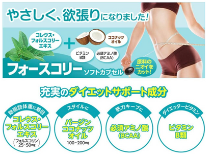 DHC 4 Slim速效修身減肥丸 30-60日分