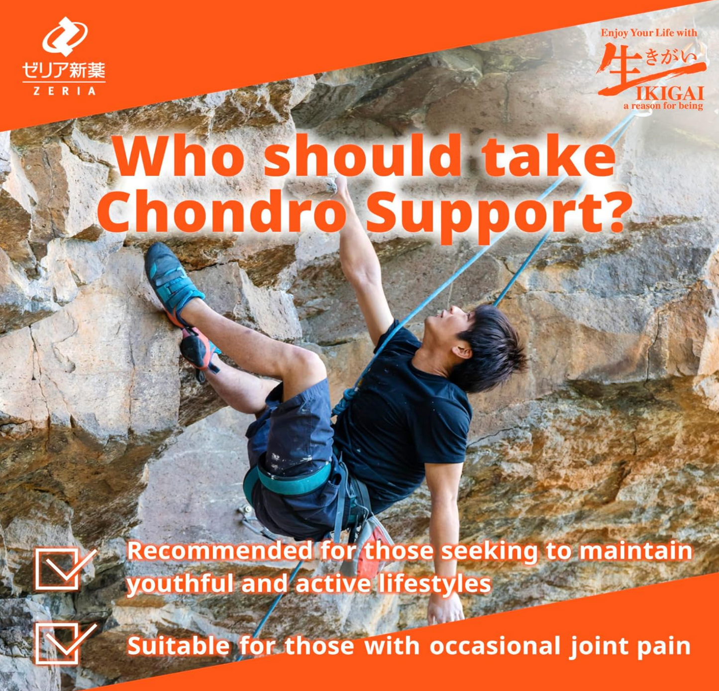 ZERIA新藥 MSM硫酸軟骨素 48-96日分