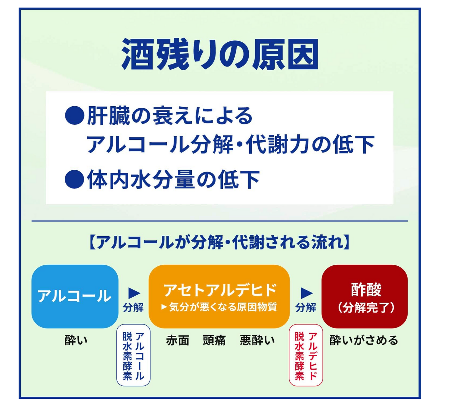 【應酬斷片救星】小林製藥 Alpitan 漢方解酒丸 16錠 | 緩解宿醉頭痛 嘔吐水腫 護肝排毒 日本代購