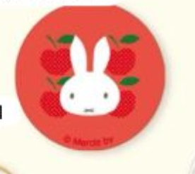 Miffy Zakka 刺繡鏡