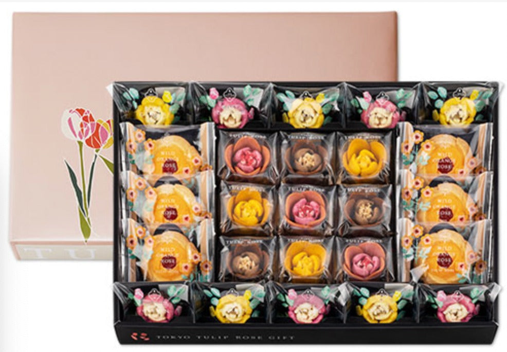 Tulip Rose 25枚裝